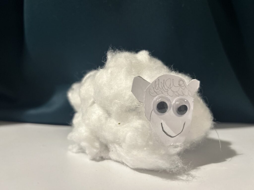 perspektywa dobra baranki